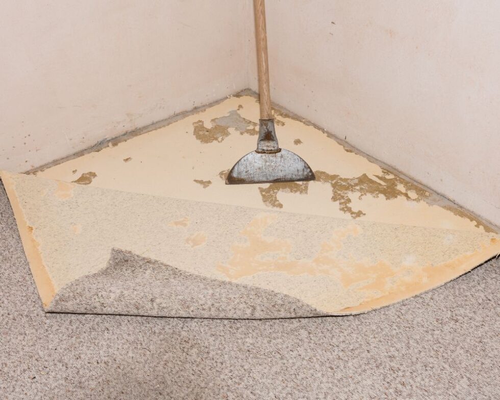 How to Clean Concrete Floors After Removing Carpet (Easily)
